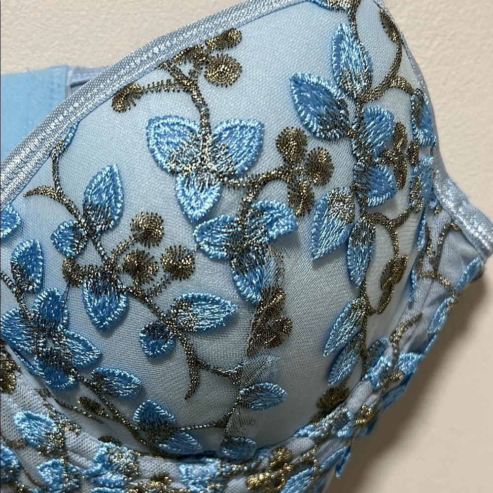 Blue Balconette Bra with Gold Chain Straps